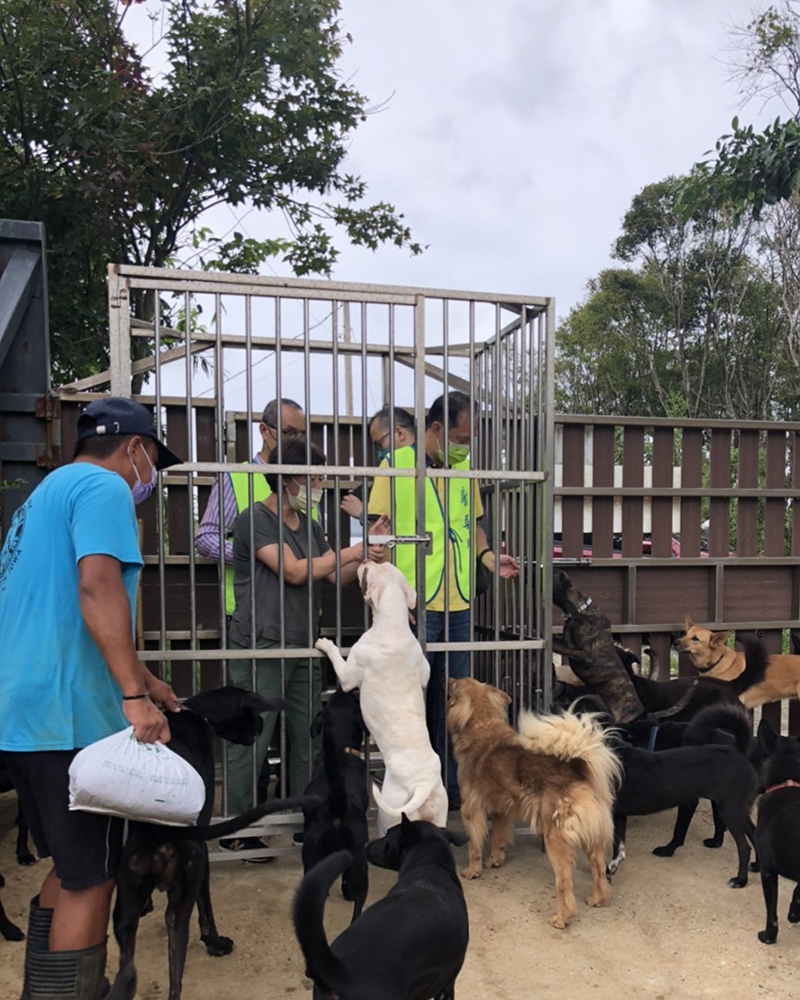 捐贈金汪汪動物協會